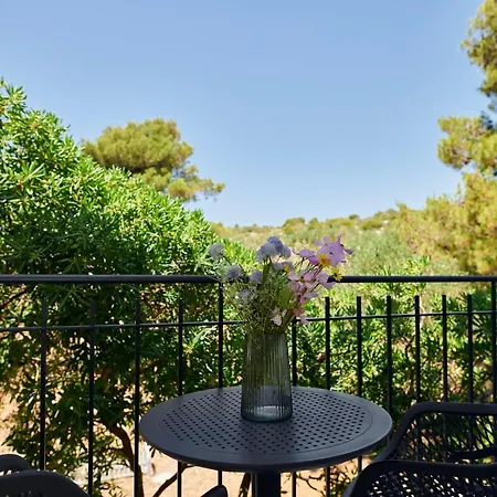 Otel Colentum
